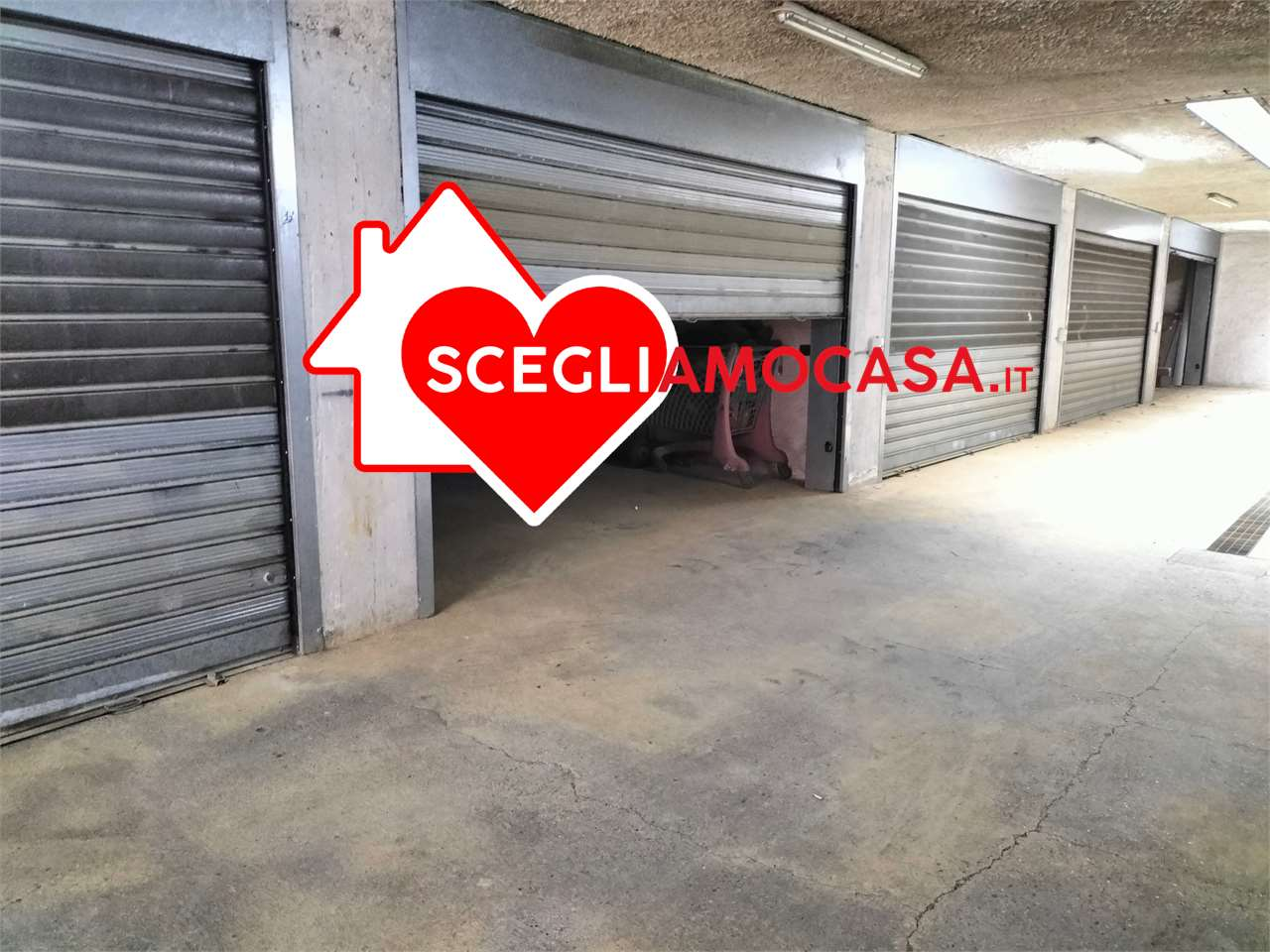 immagine annuncio 5 di 8