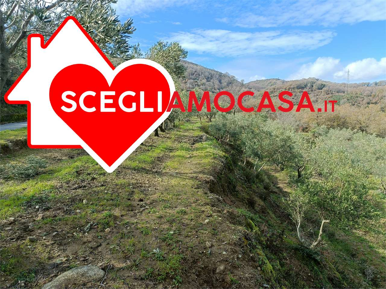 immagine annuncio 1 di 10