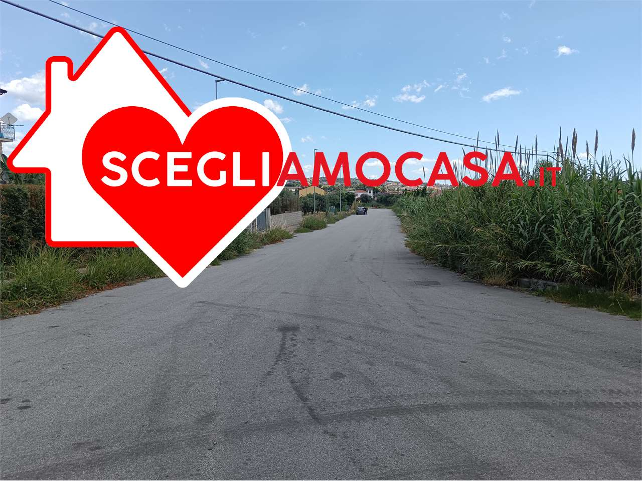 immagine annuncio 1 di 4
