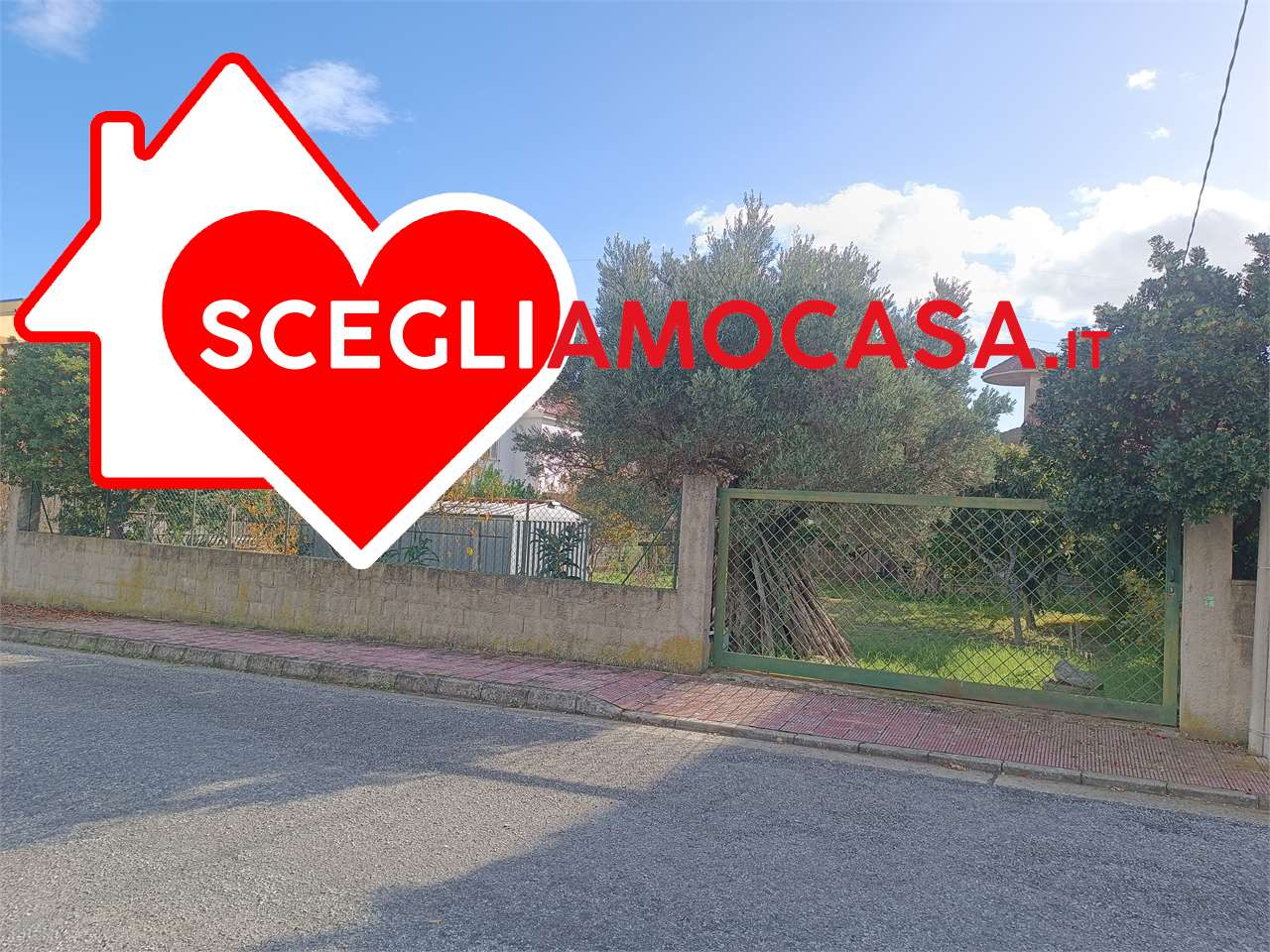 immagine annuncio 1 di 4