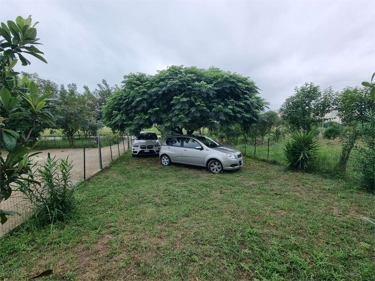 immagine annuncio 7 di 10