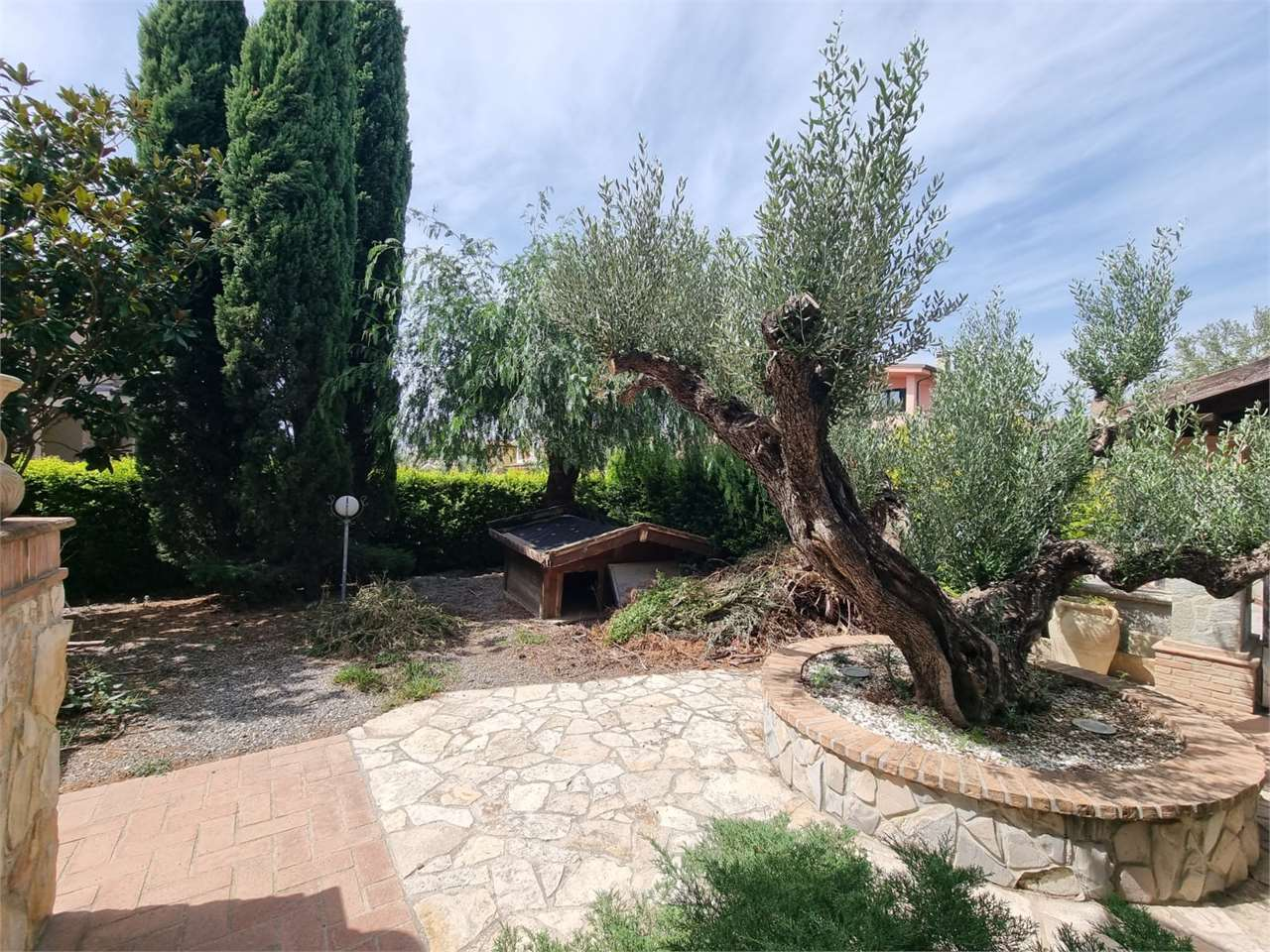 immagine annuncio 9 di 10