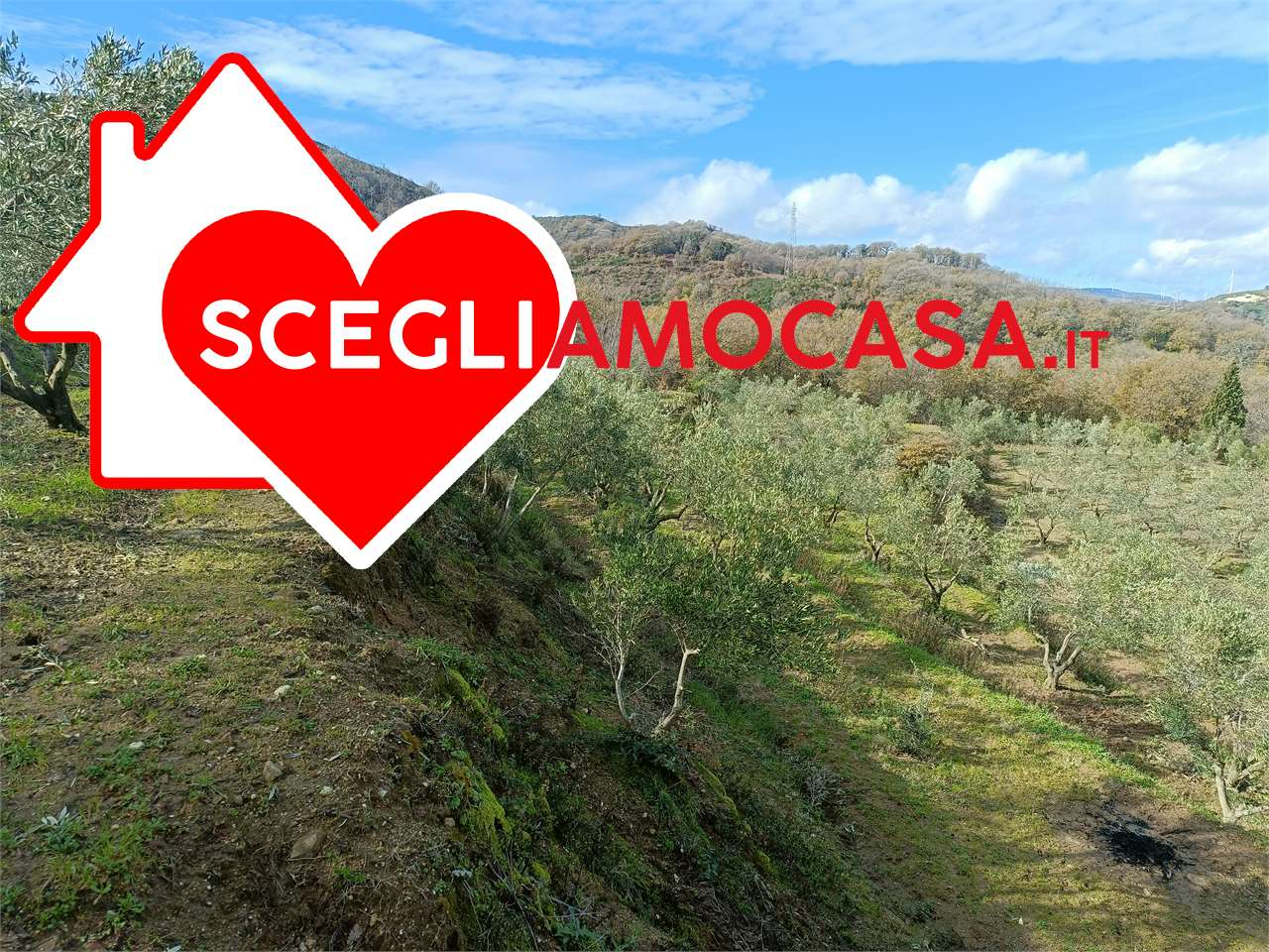 immagine annuncio 3 di 10