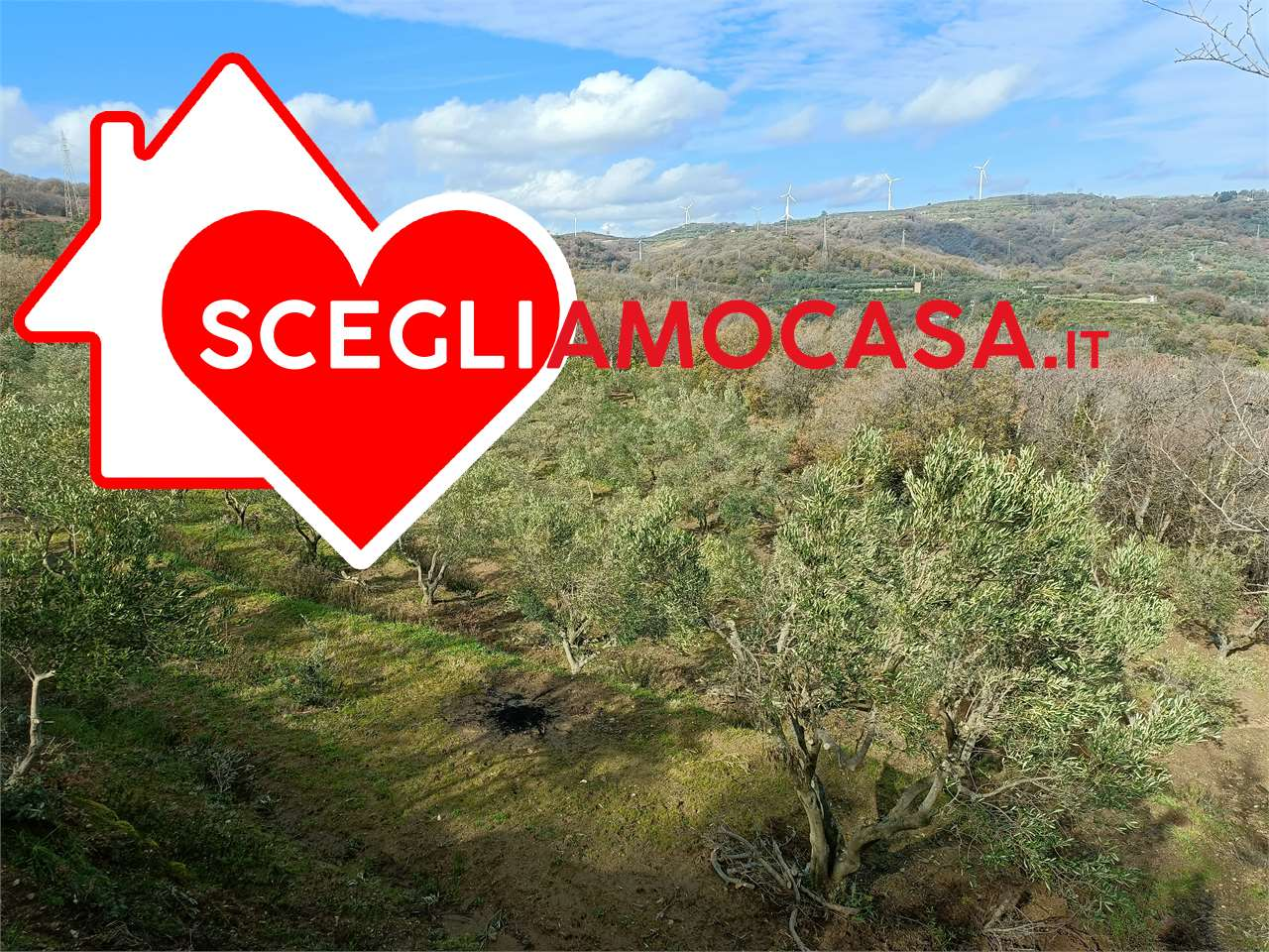 immagine annuncio 4 di 10