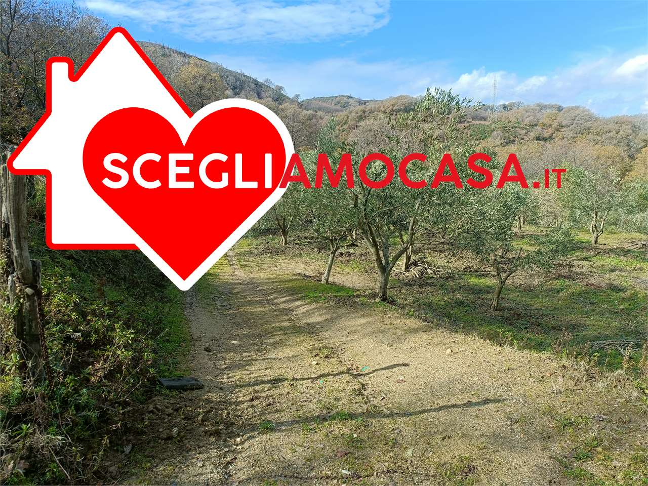 immagine annuncio 8 di 10