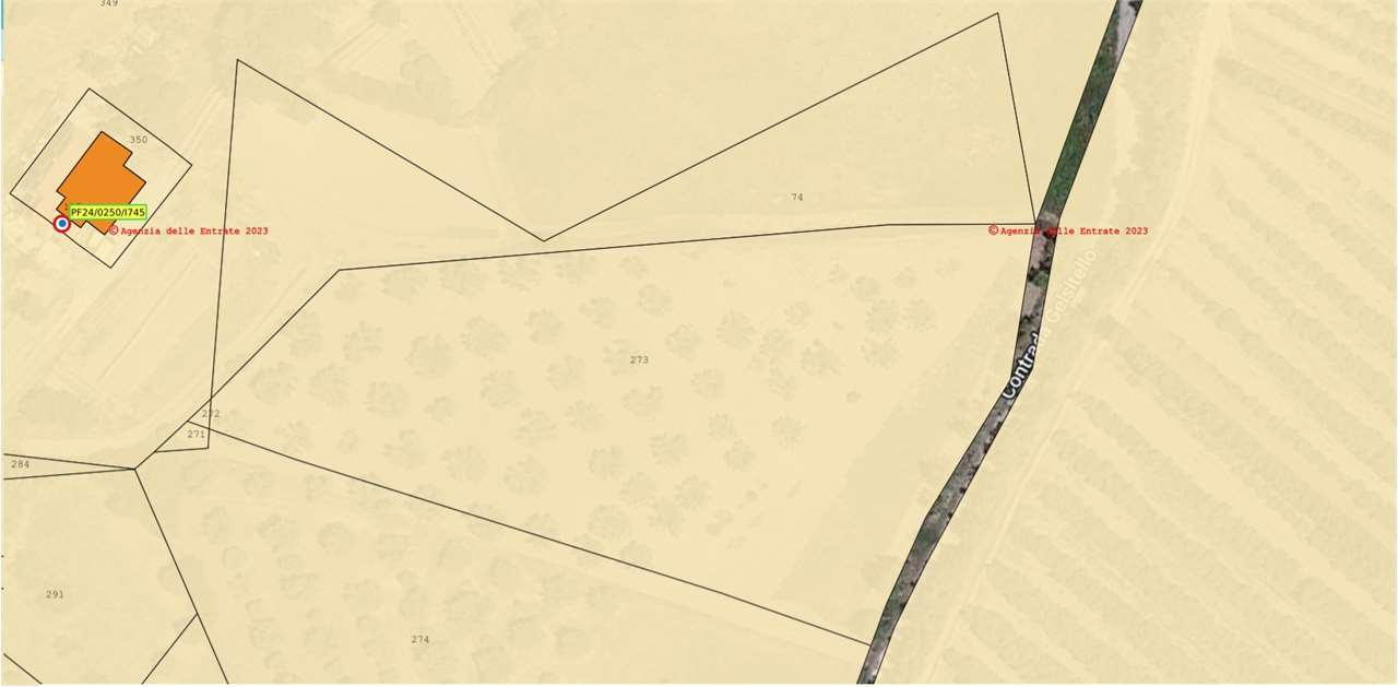 immagine annuncio 1 di 8