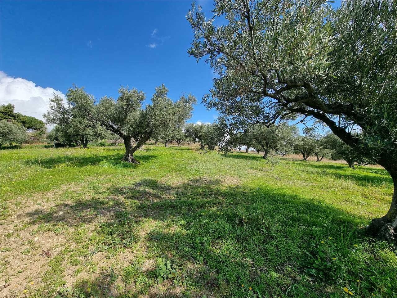 immagine annuncio 5 di 8