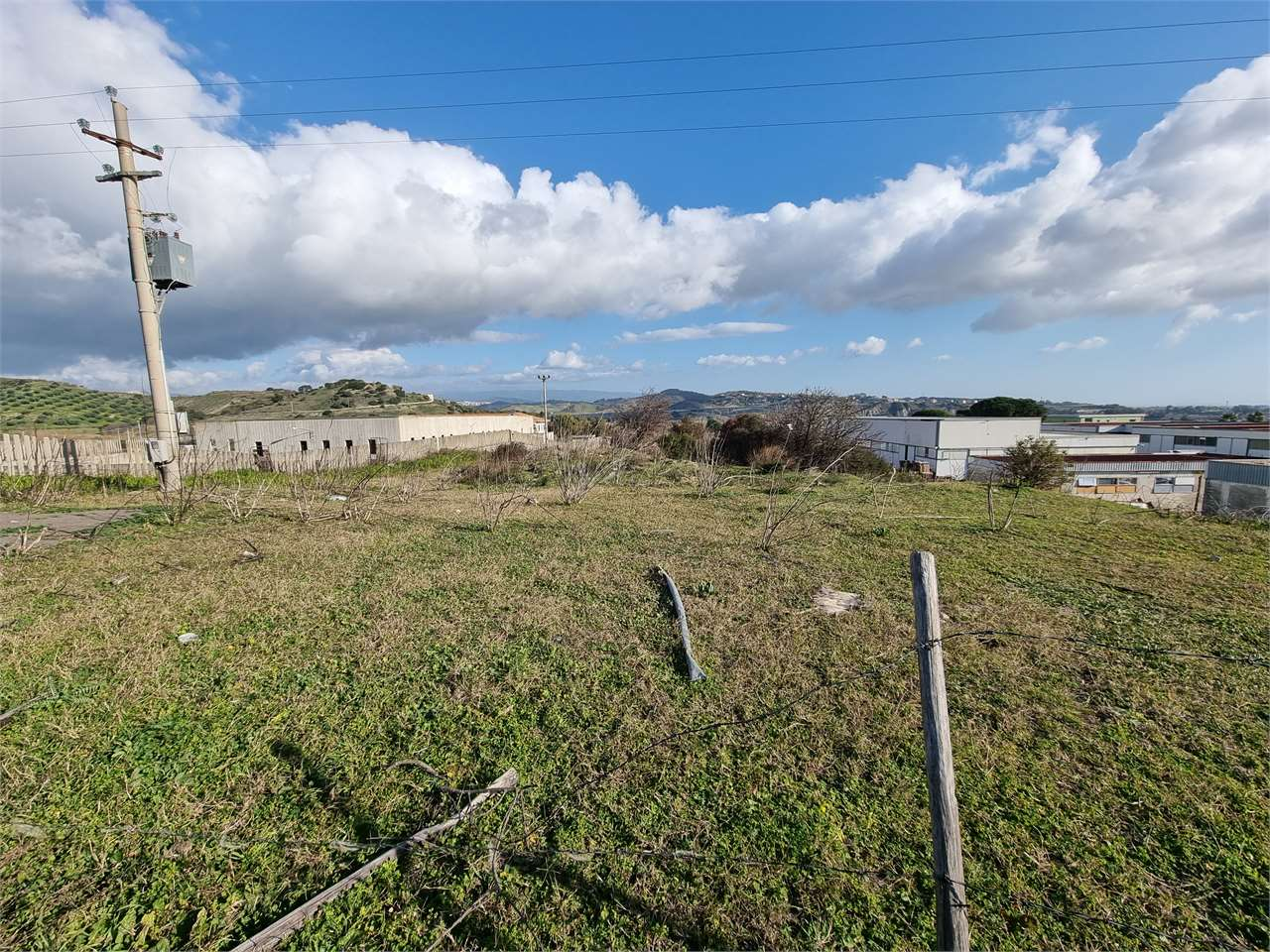 immagine annuncio 6 di 7