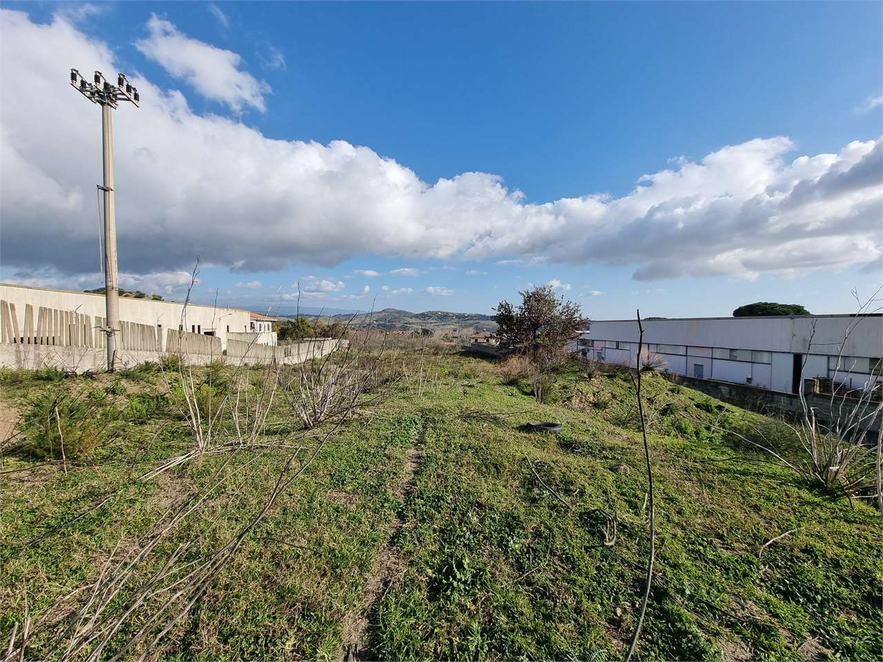 immagine annuncio 3 di 7