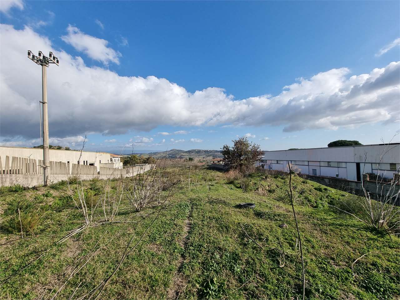 immagine annuncio 2 di 7