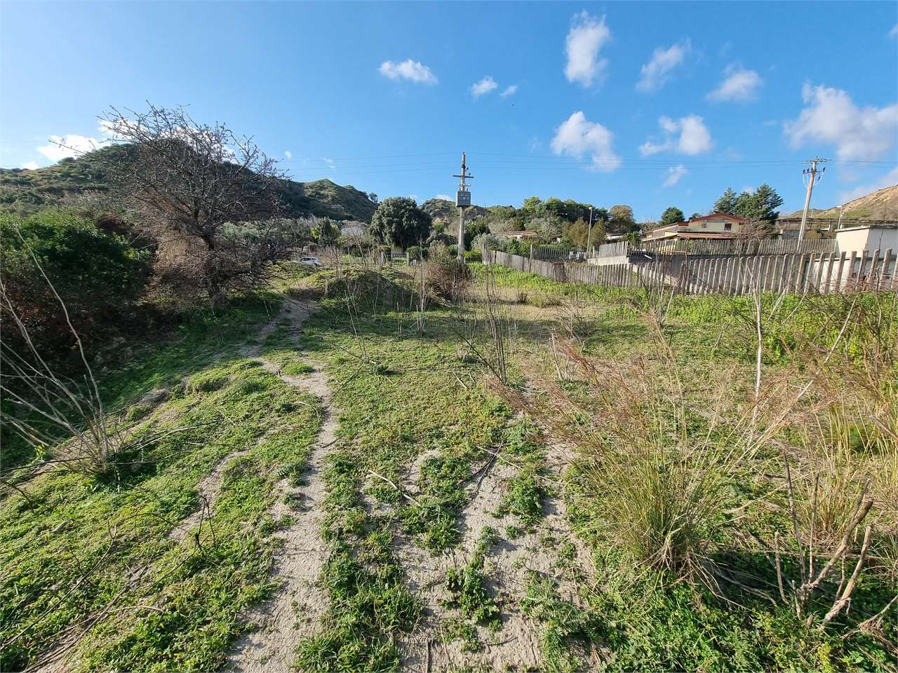 immagine annuncio 4 di 7