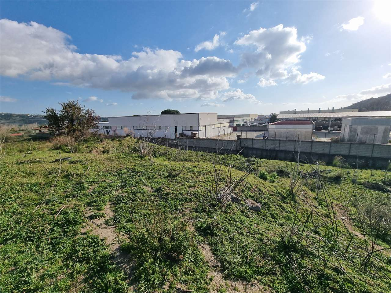 immagine annuncio 5 di 7