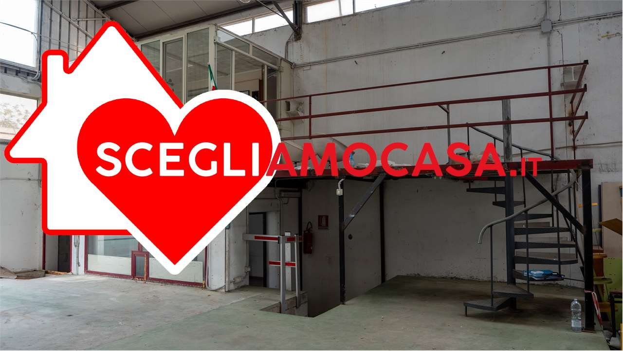 immagine annuncio 9 di 10