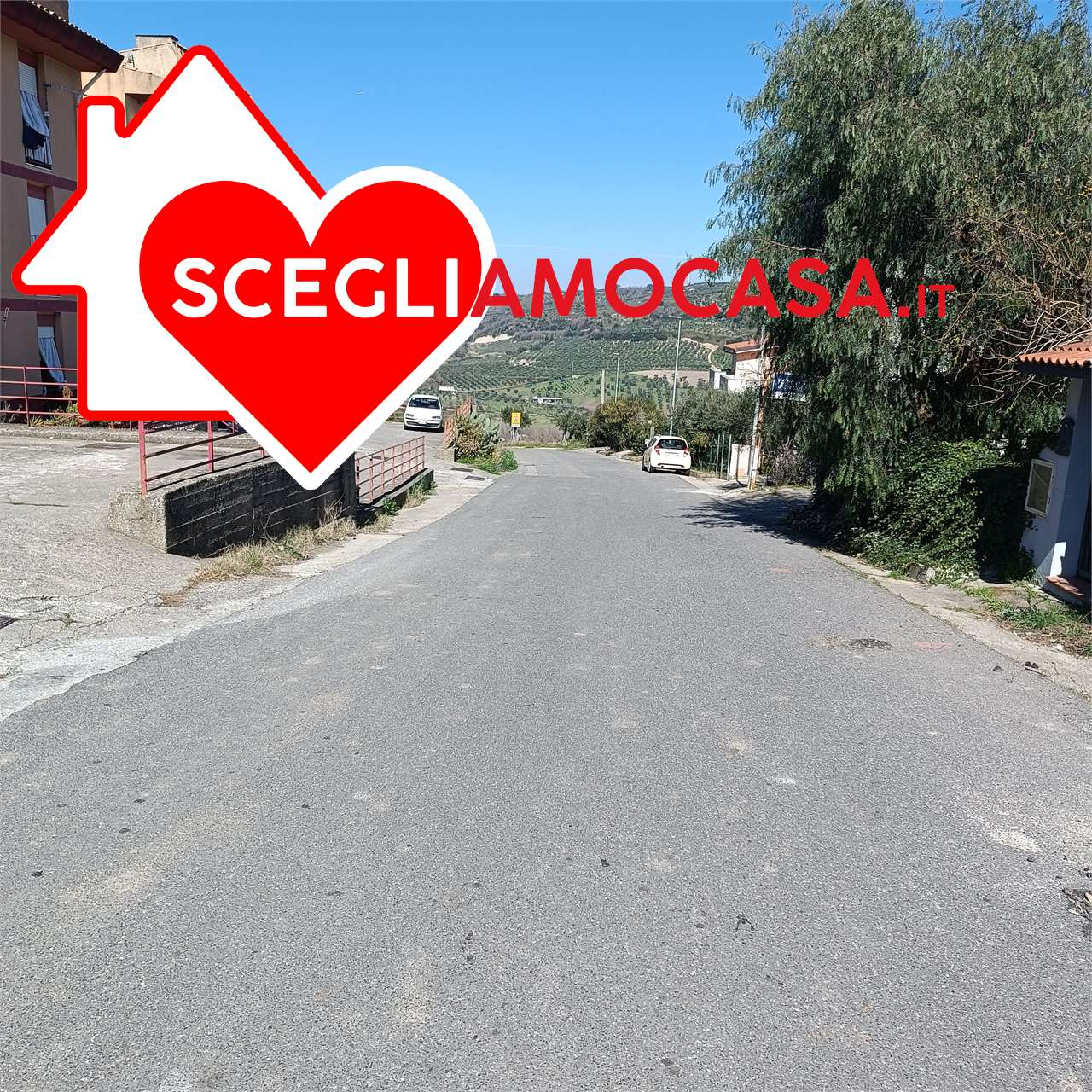 immagine annuncio 1 di 8