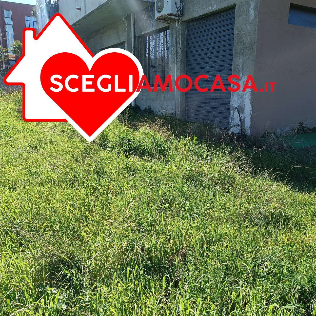 immagine annuncio 6 di 8