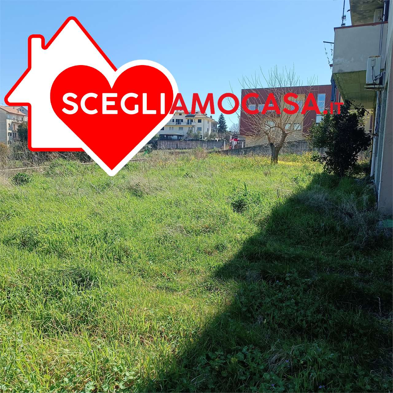 immagine annuncio 5 di 8