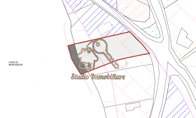 immagine annuncio 5 di 6