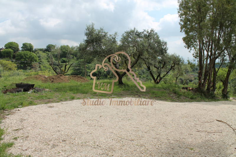 immagine annuncio 6 di 9