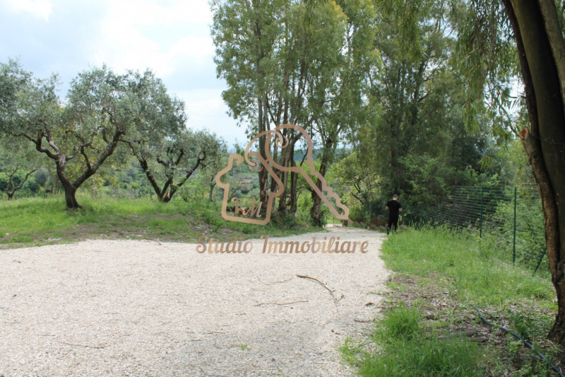 immagine annuncio 3 di 9