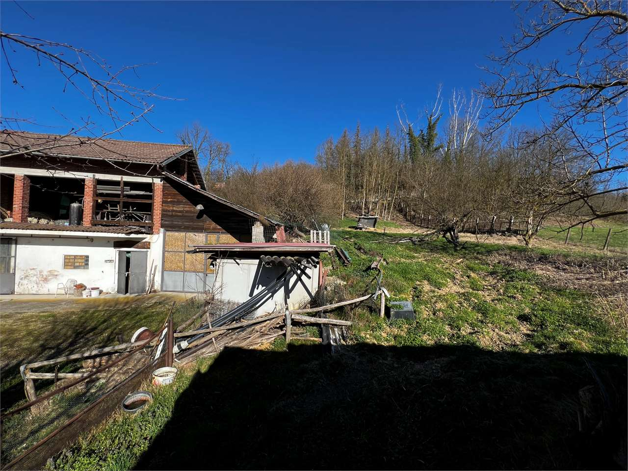 immagine annuncio 1 di 10