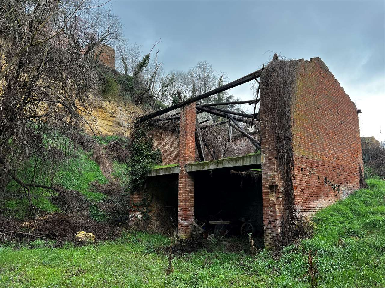 immagine annuncio 2 di 10