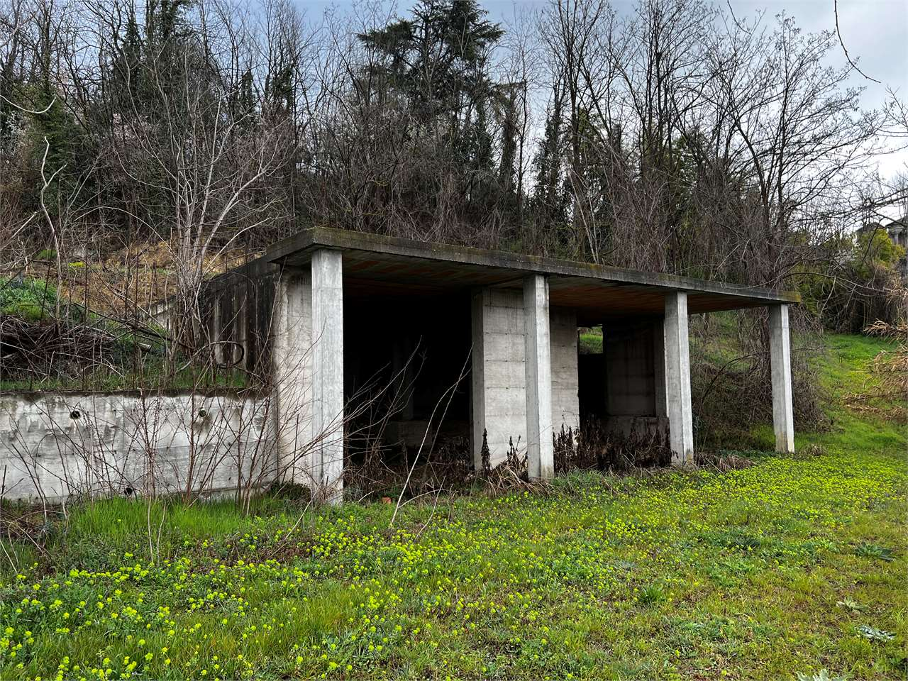 immagine annuncio 4 di 10