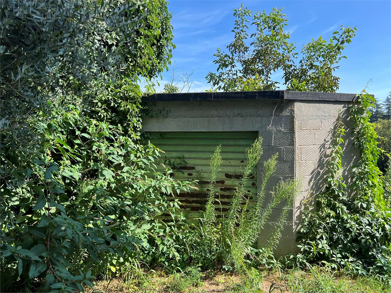 immagine annuncio 5 di 10