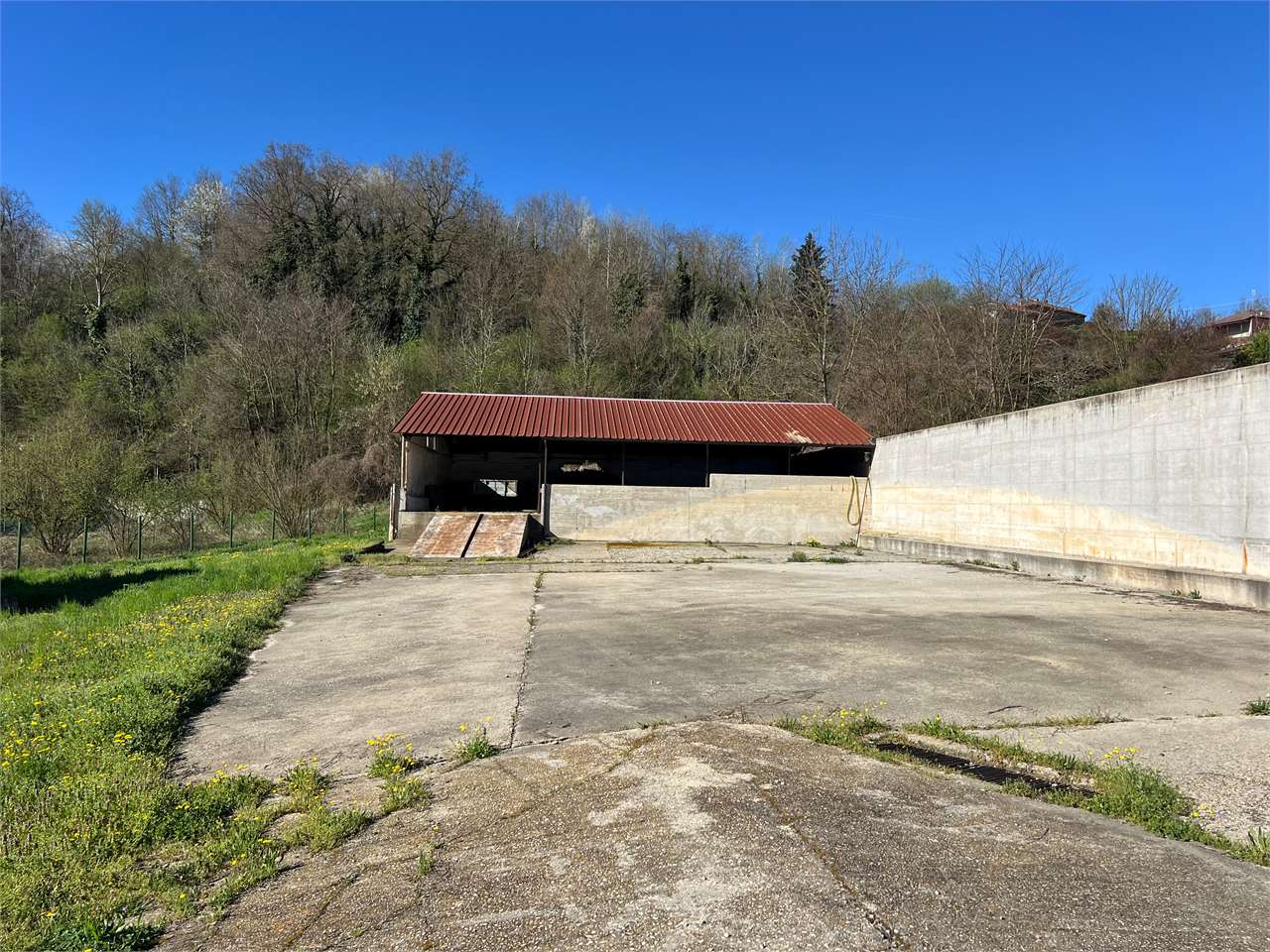 immagine annuncio 6 di 10