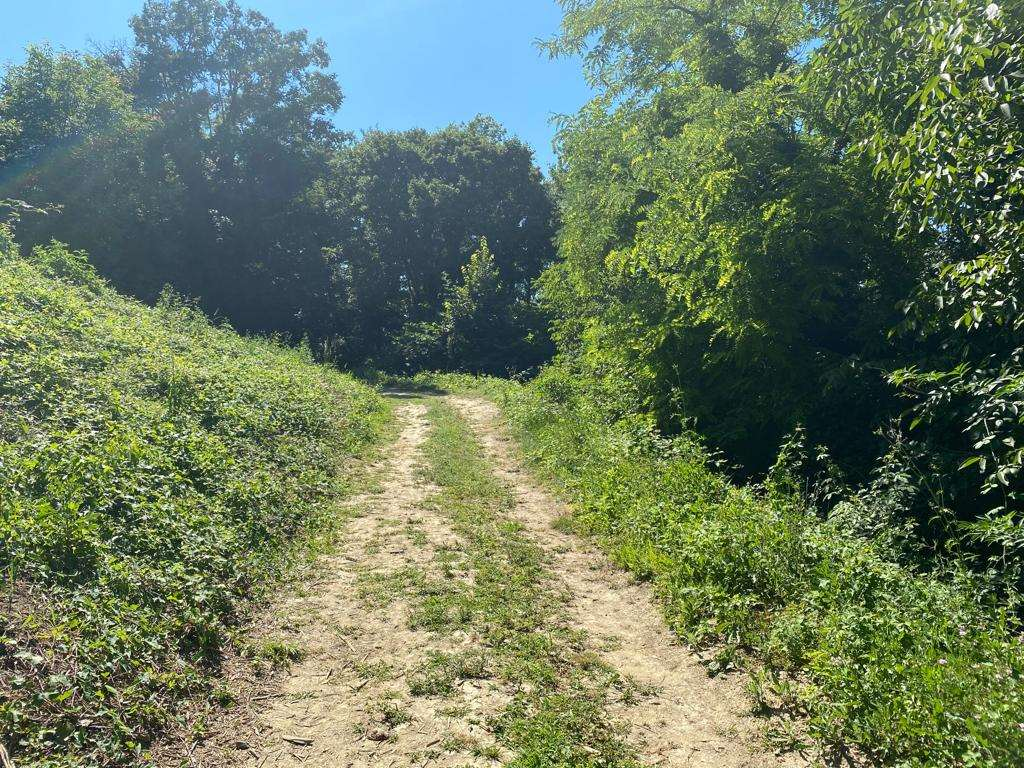 immagine annuncio 1 di 8