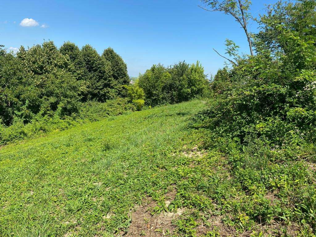 immagine annuncio 6 di 8