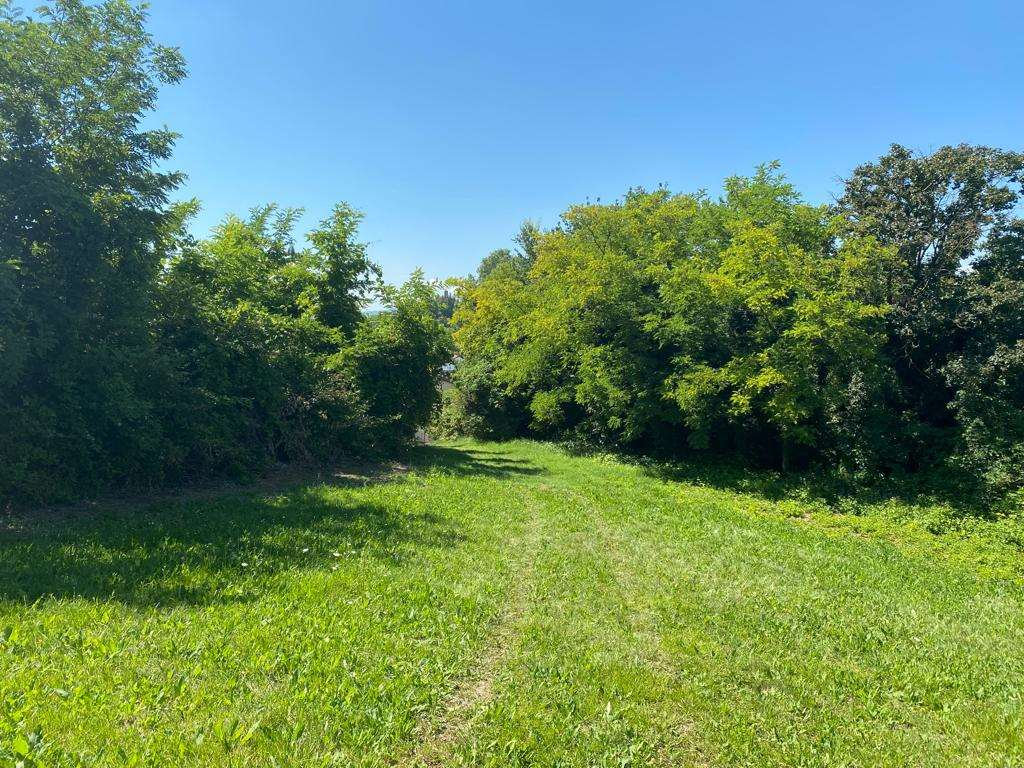 immagine annuncio 3 di 8