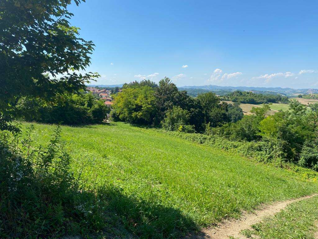 immagine annuncio 4 di 8