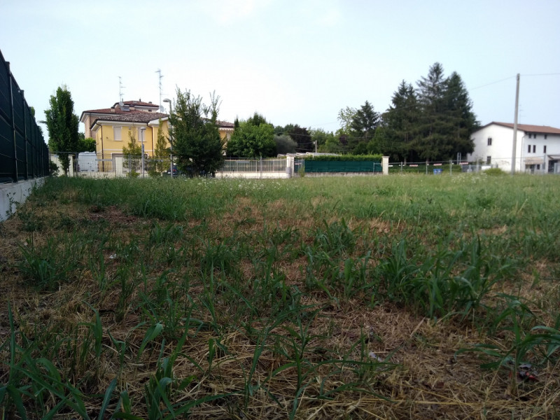 immagine annuncio 1 di 3