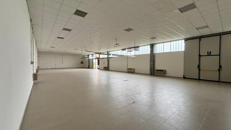 immagine annuncio 3 di 8