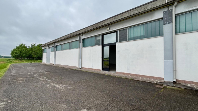 immagine annuncio 4 di 8