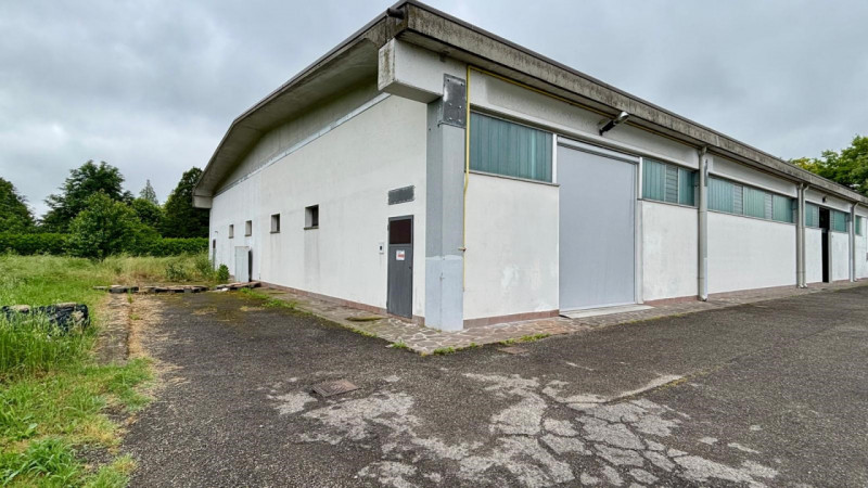 immagine annuncio 7 di 8