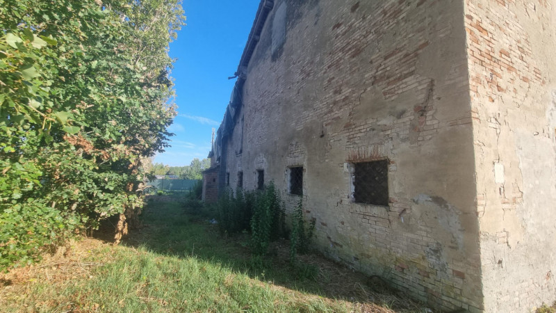 immagine annuncio 3 di 8