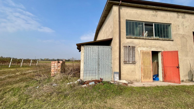 immagine annuncio 7 di 10