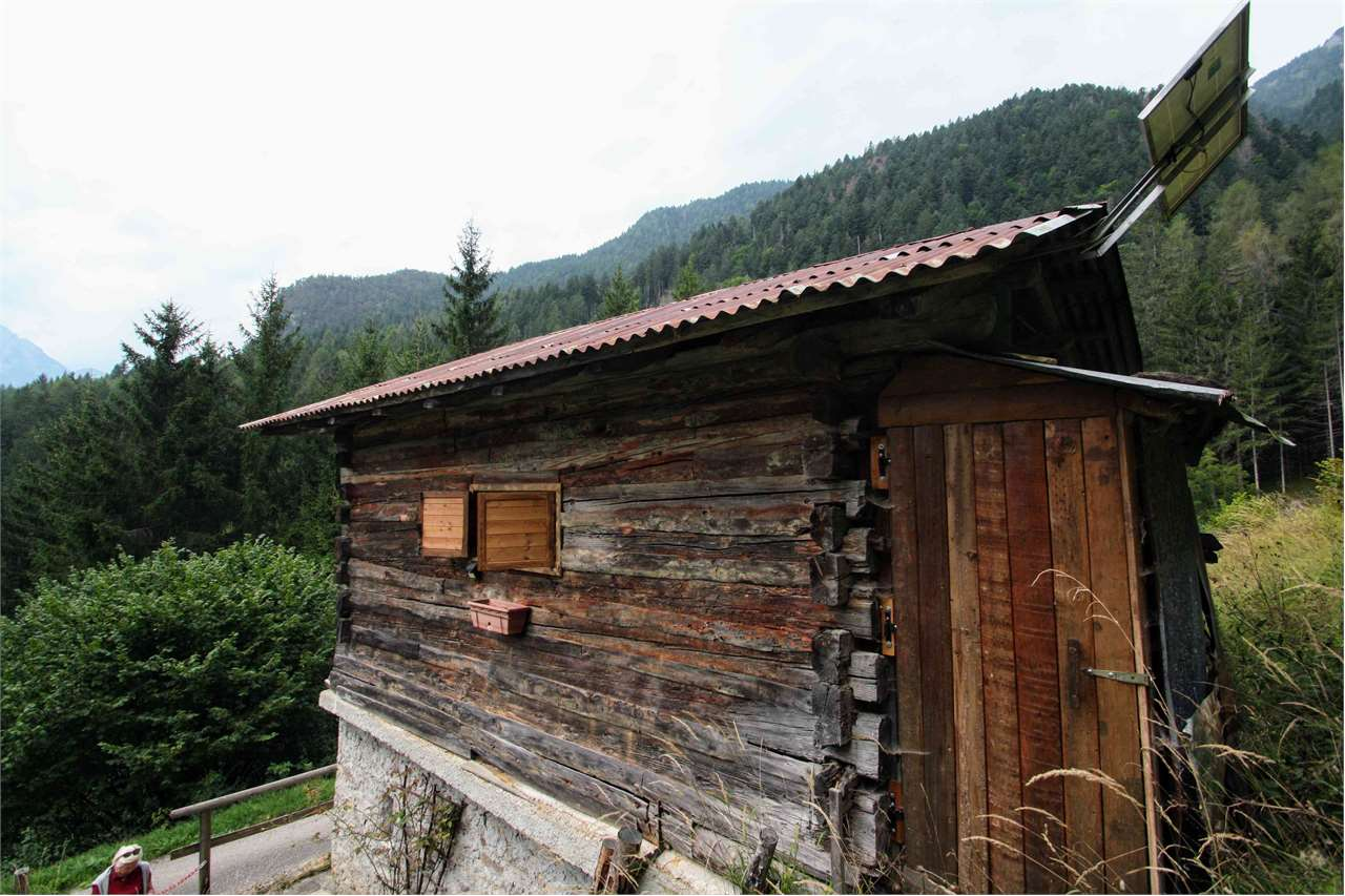 immagine annuncio 4 di 10