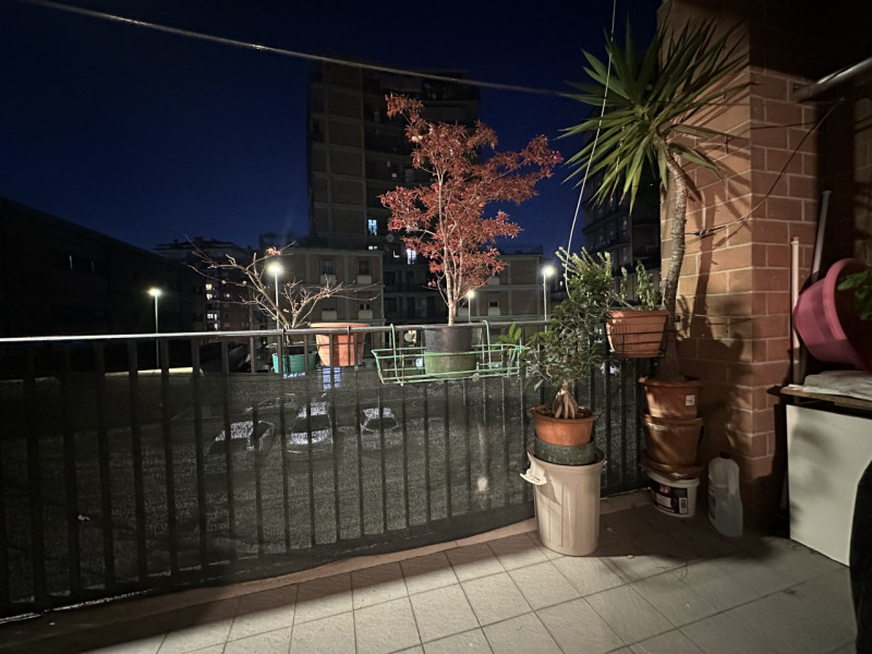 immagine annuncio 4 di 8