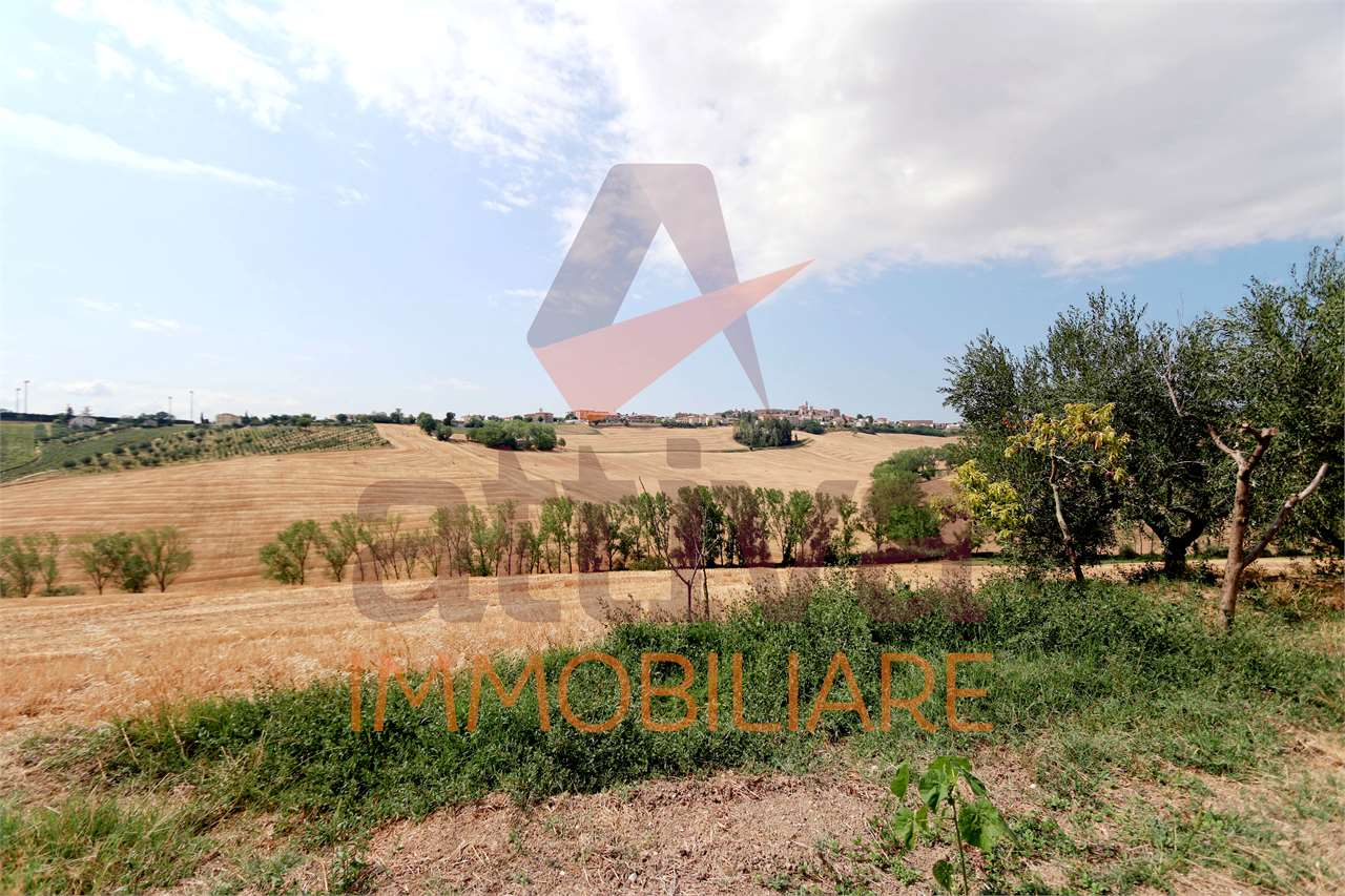 immagine annuncio 4 di 7