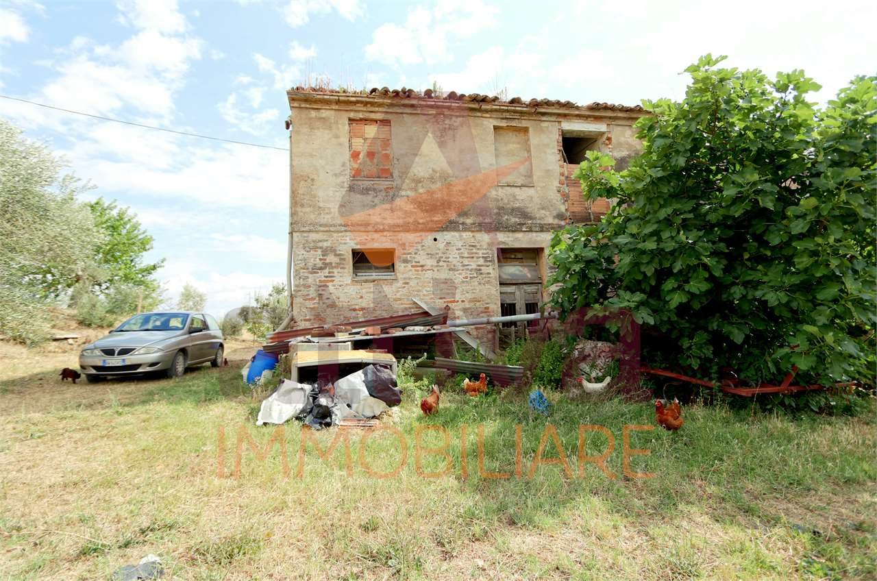 immagine annuncio 2 di 7