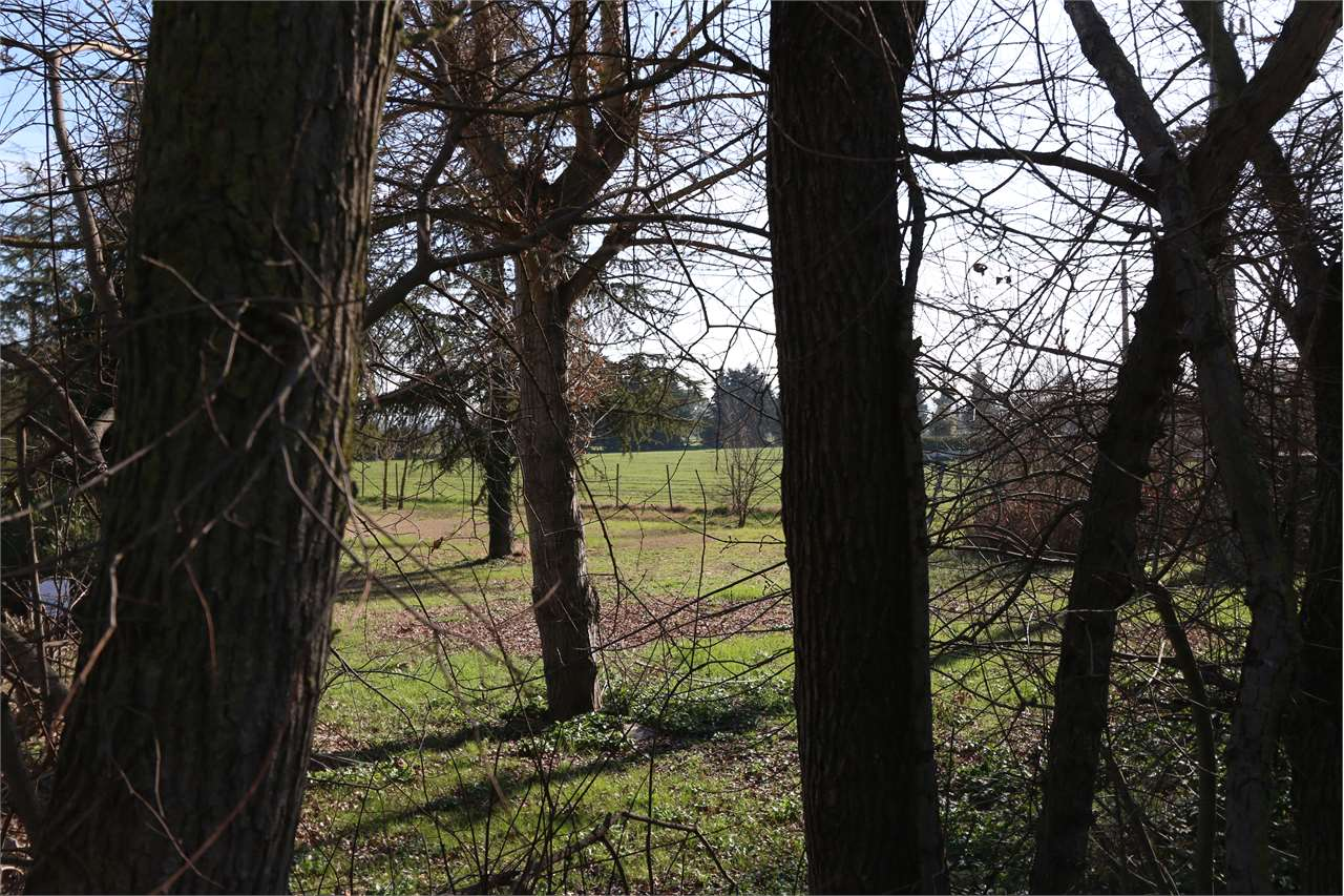 immagine annuncio 2 di 3