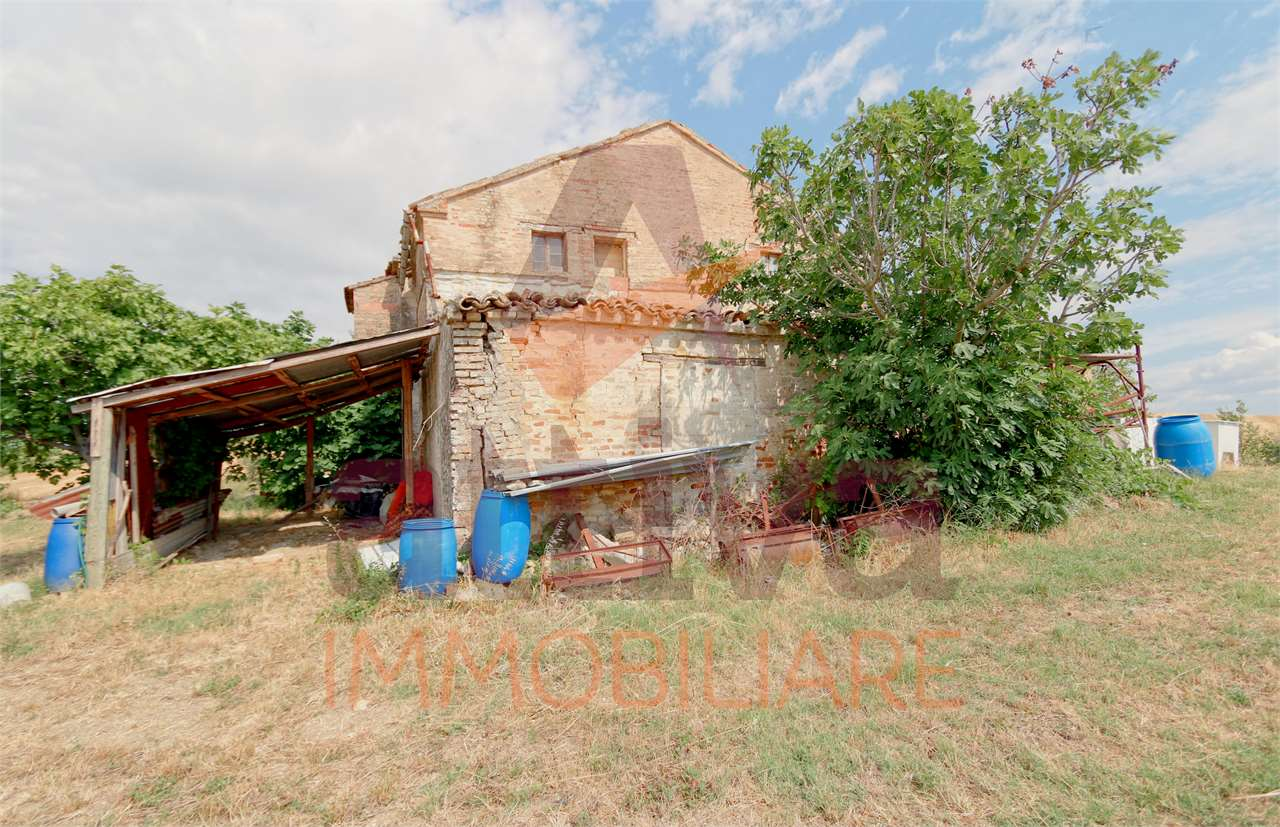 immagine annuncio 5 di 7