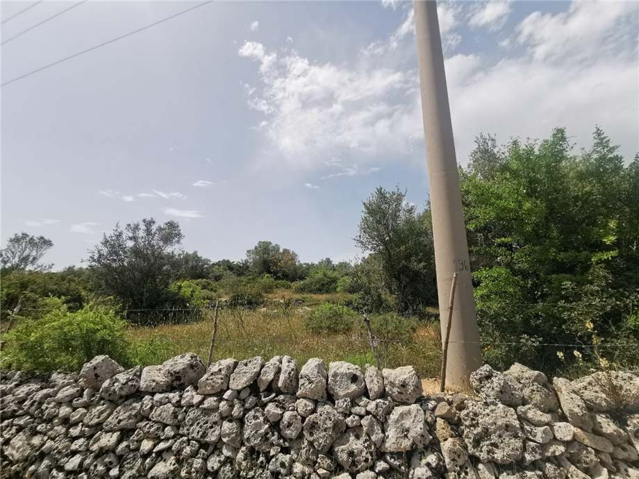 immagine annuncio 7 di 9