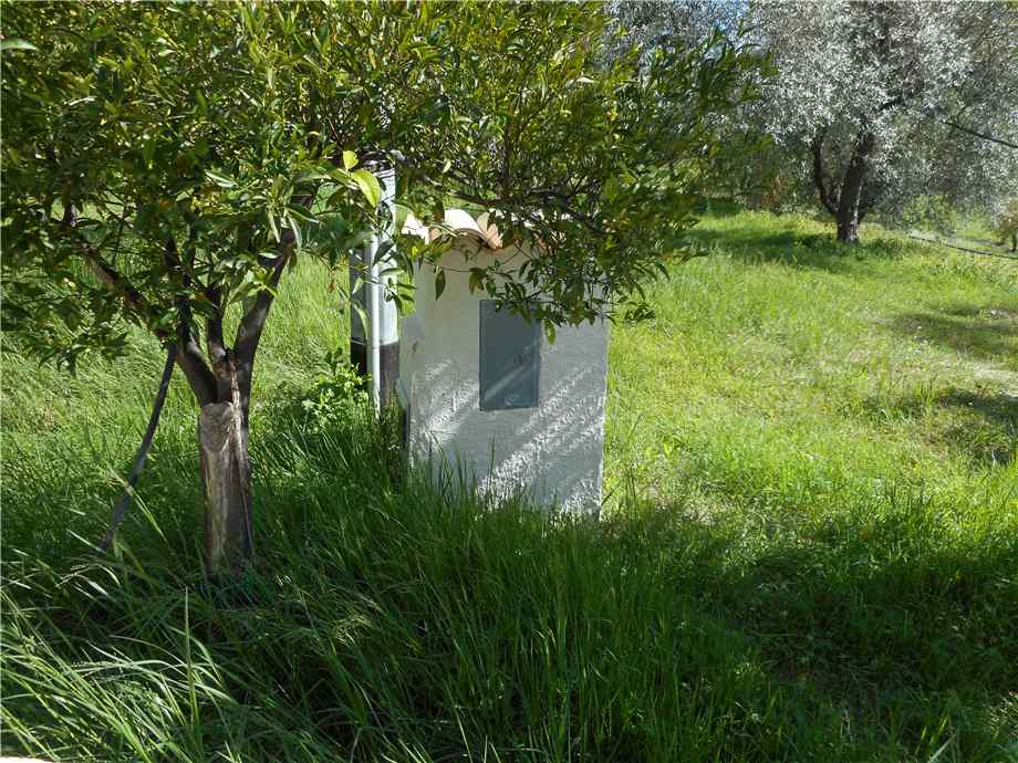 immagine annuncio 2 di 10