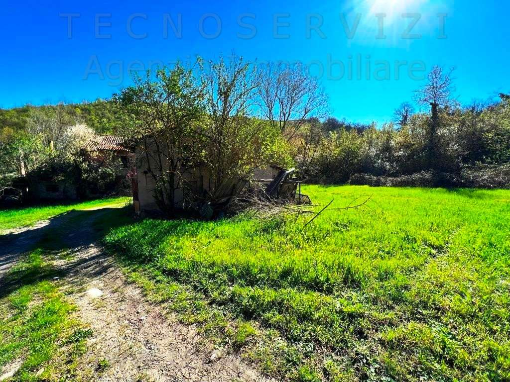 immagine annuncio 8 di 9