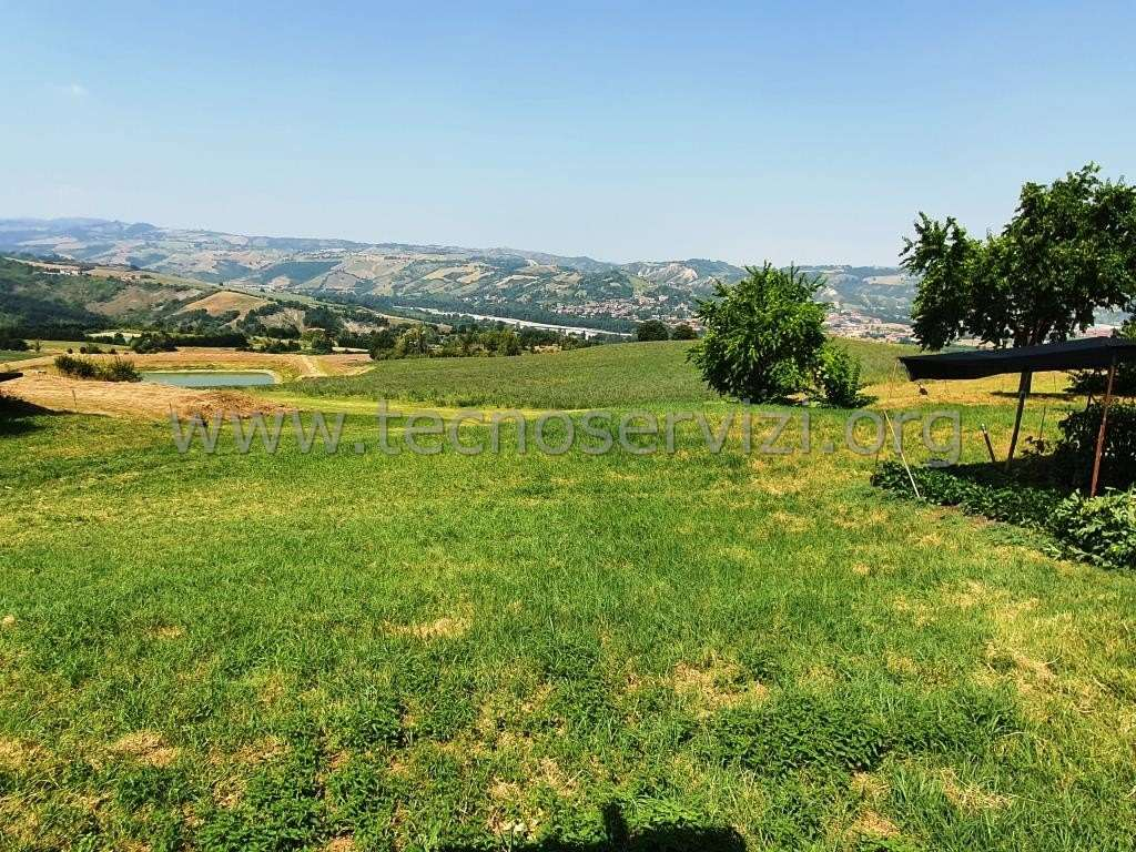 immagine annuncio 5 di 6