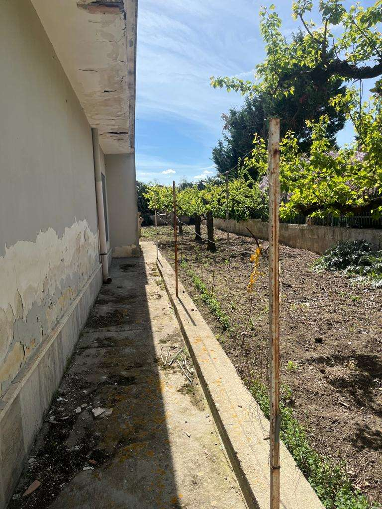immagine annuncio 5 di 6
