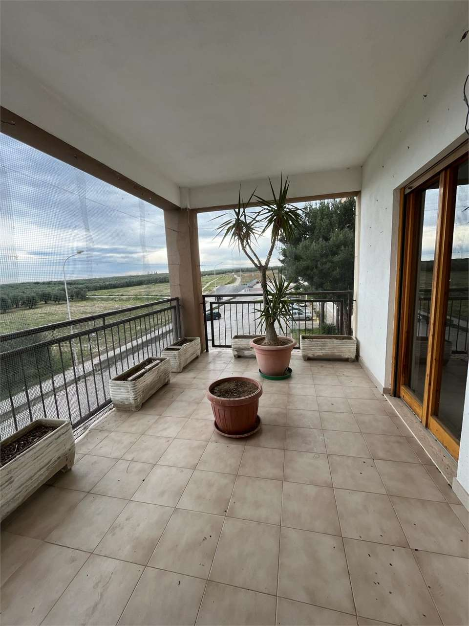 immagine annuncio 3 di 8